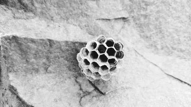A close-up image of concrete mixed with carbon nanotubes, showing the enhanced strength and crack resistance at a microscopic level.