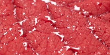 Exploring the Potential of Lab-Grown Meat for US Consumers - Cover Image