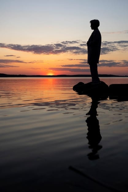 A conceptual image showing a person looking at a sunset over a calm ocean, symbolizing retirement. The scene evokes peace and financial security.